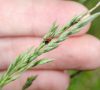 Ticks Are Really Brutal This Year. How to Avoid Them + What to Do If You Find One. Have you already pulled a tick off of one of your children this year? Do you want to never have to? A mild winter this past year enabled ticks to thrive more than ever.