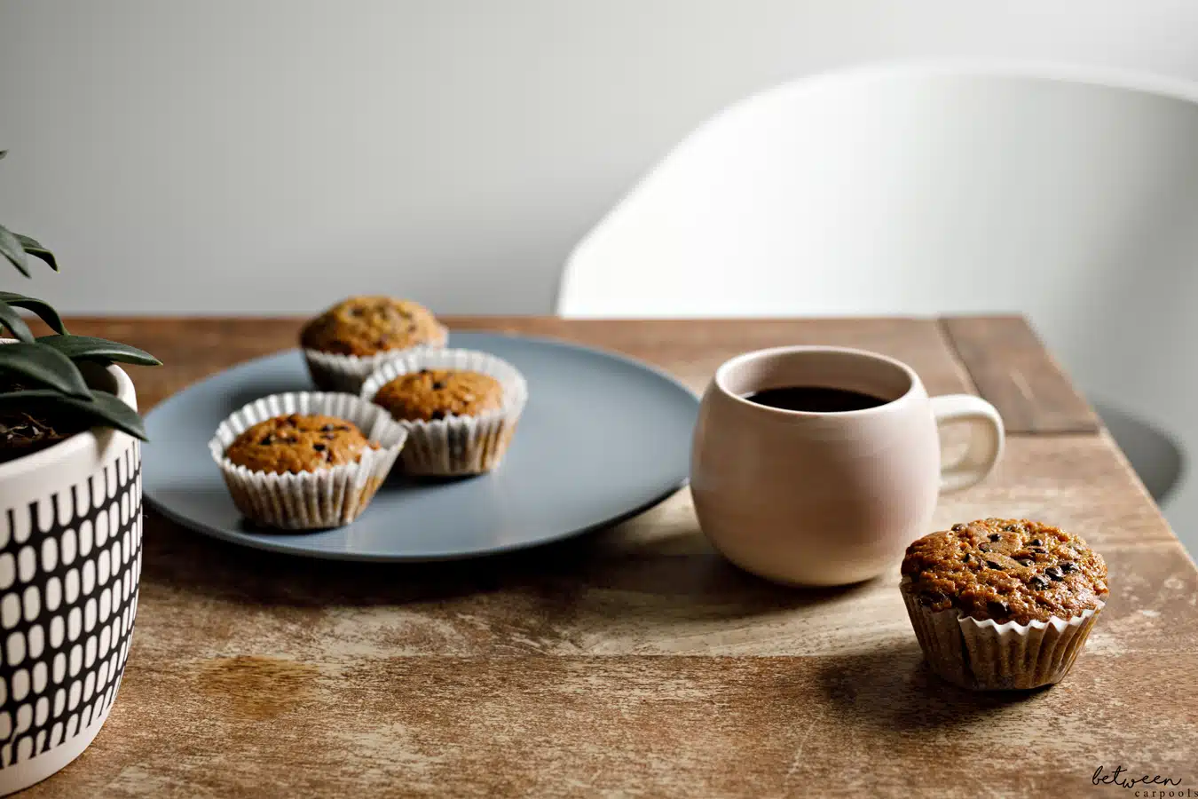 Yummy, Moist Chocolate Chips Muffins You’ll Bake Again and Again