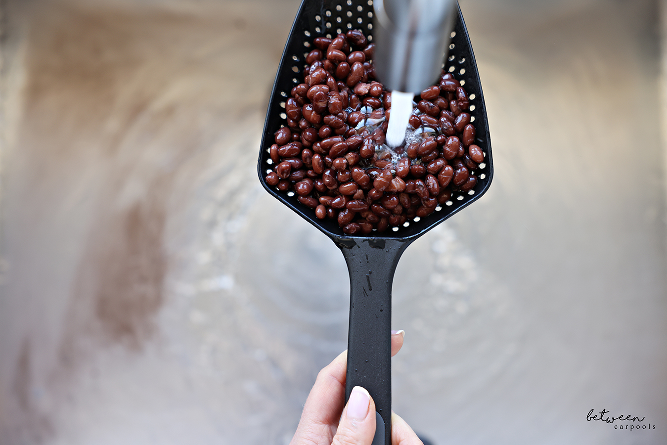 Holding a black plastic scoop colander of Eden Organic Black beans under running water.
