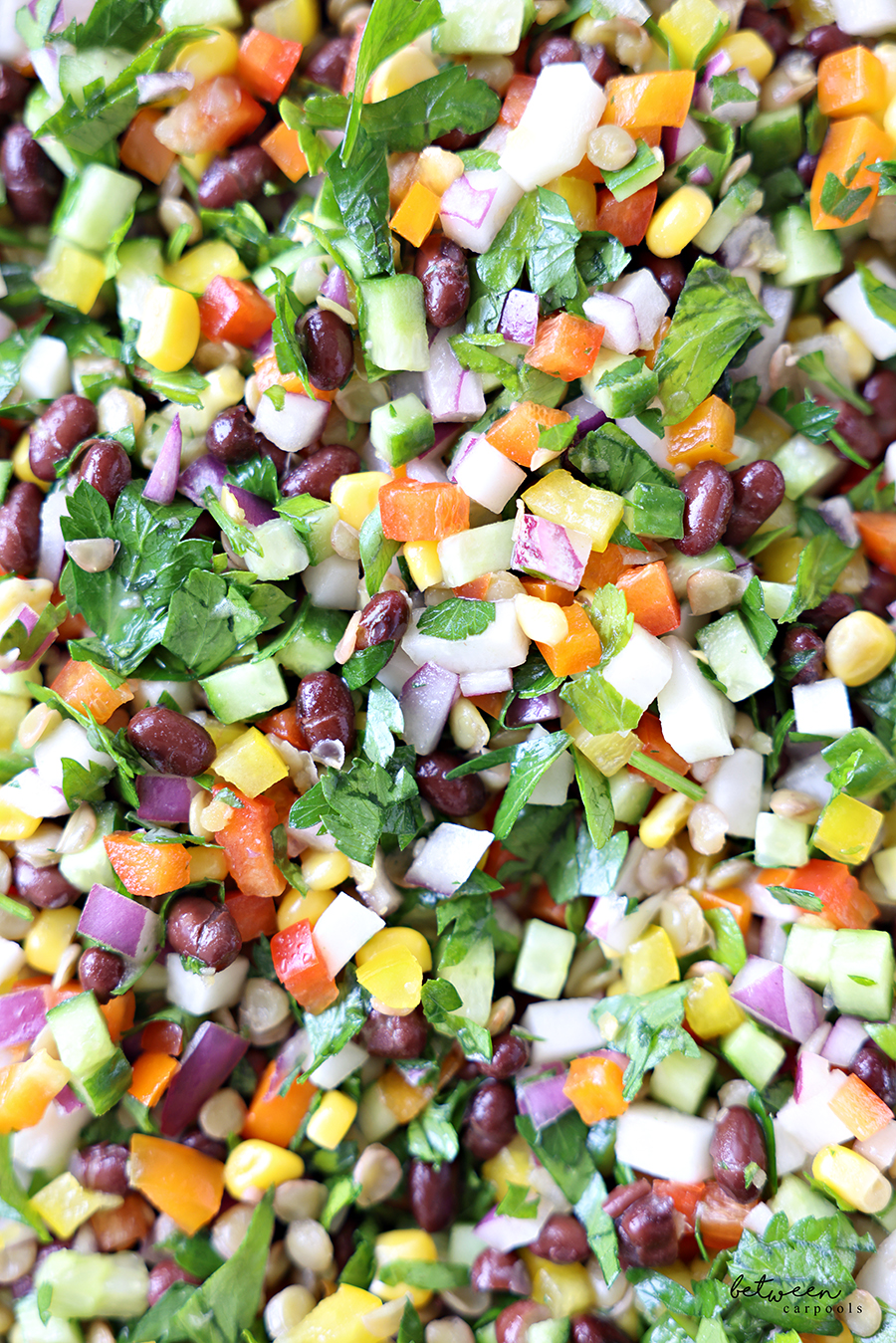 Feel Good Crunchy Bean Salad closeup