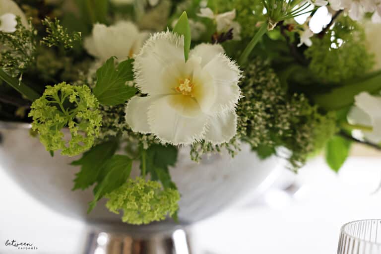 The Seder Table–Set The Way You Envisioned (+ Free Place Card Download ...