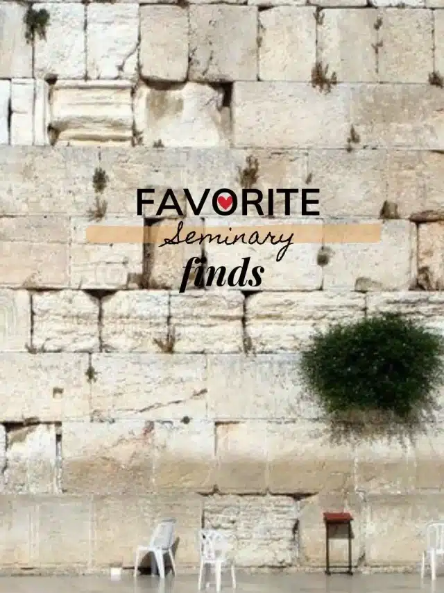 Favorite Seminary Finds