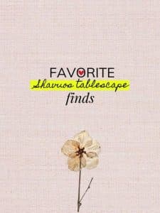 WhatsApp Image 2025-05-20 at 13.20.06