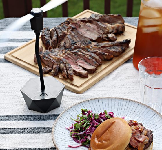 BBQ table with one fly fan.