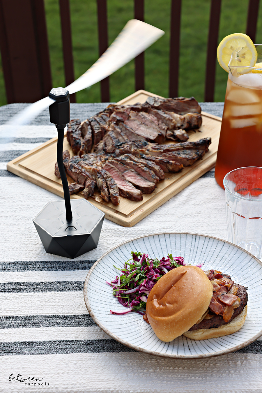 BBQ table with one fly fan.
