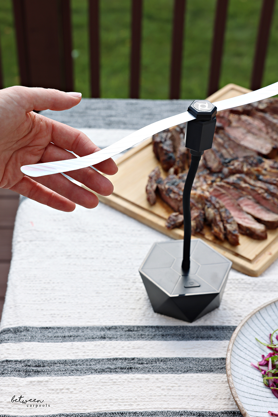 Touching the blade of a fly fan on a BBQ table.