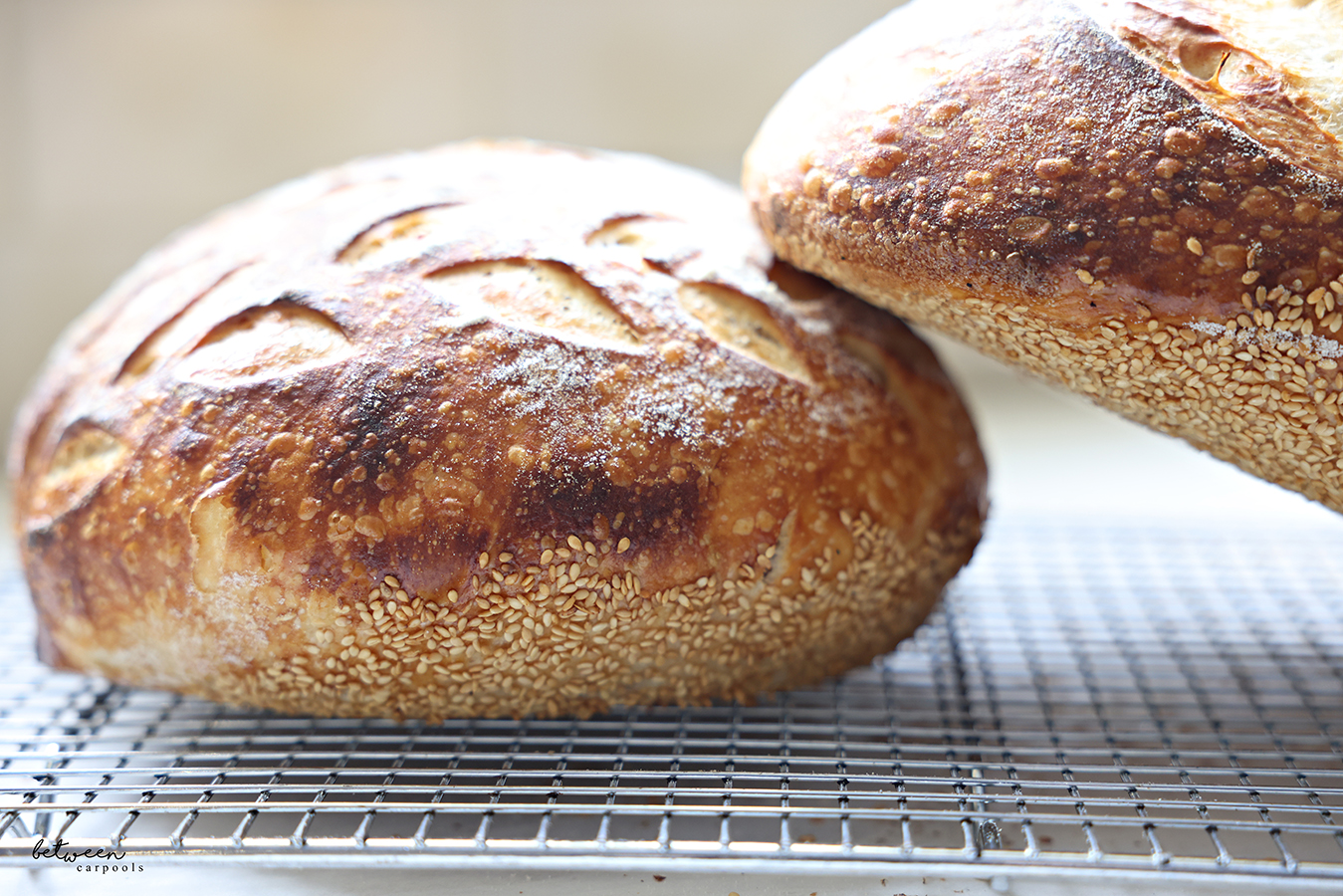 Baked sourdough loaves with sesame bottom crusts on a cooling rack.