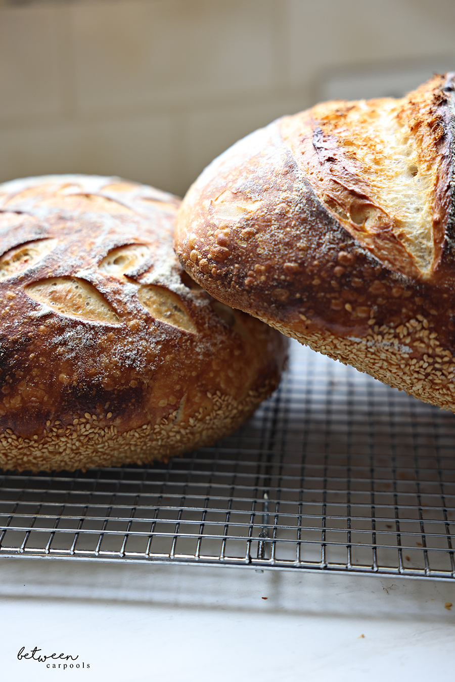 Beautiful closeup of baked sourdough loaves with sesame bottom crusts on a cooling rack.